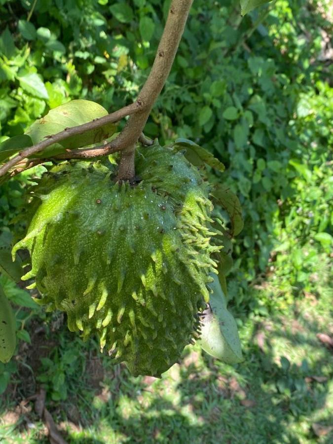 Casa Algana Villa El Limon Ngoại thất bức ảnh
